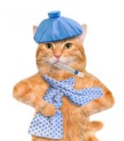 Пушистый симулянт