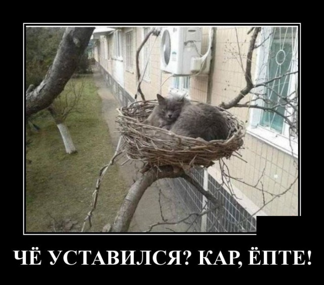 Женщина — как театр, сегодня комедия, завтра трагедия, а послезавтра гастроли в другом городе Женщина — как театр, сегодня комедия, завтра трагедия, а послезавтра гастроли в другом городе анекдоты,демотиваторы,приколы,юмор