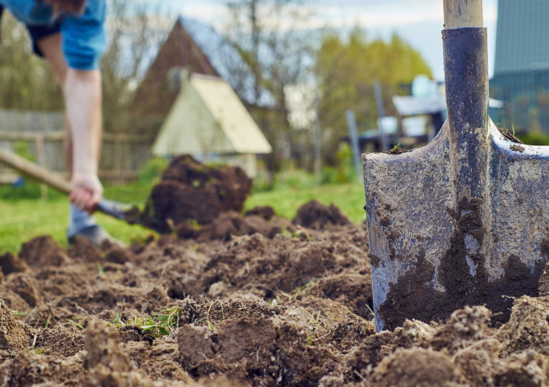 Вред вскапывания для огорода и как рыхлить почву правильно дача,полезные советы,сад и огород