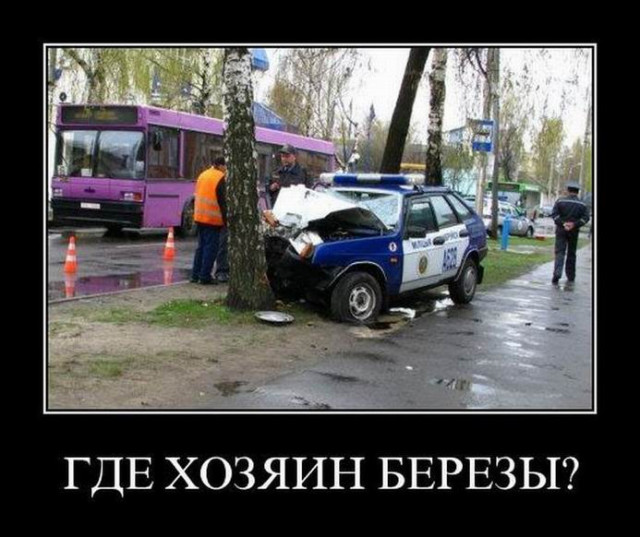 Пятничные демотиваторы: «Где хозяин берёзы?» 