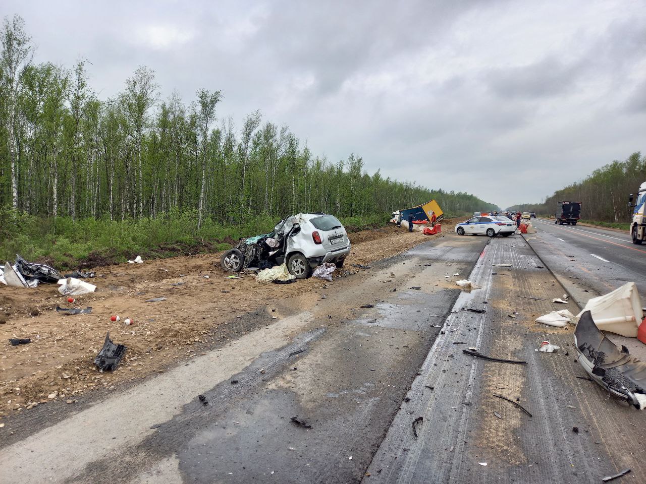 В Тверской области водитель иномарки погиб в лобовом столкновении с фурой