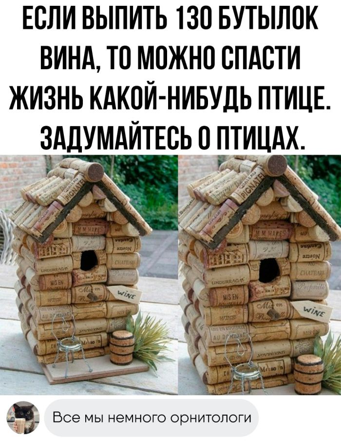 Колкие комментарии, которые как острый соус приправляют сам пост Колкие комментарии, которые как острый соус приправляют сам пост