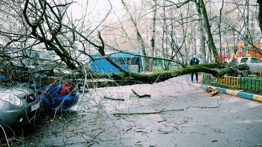 Ураган в Москве: за медицинской помощью обратились 17 человек