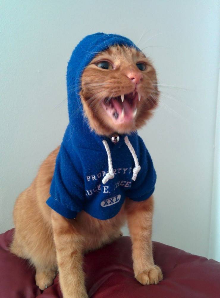 Подборка прикольных картинок Подборка прикольных картинок приколы,смешные картинки,юмор