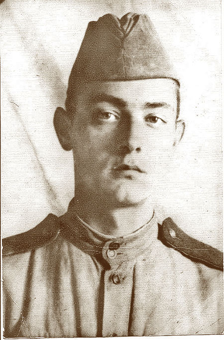 Владимир Бушин. Я воюю против клеветы Владимир Бушин. Я воюю против клеветы история россии