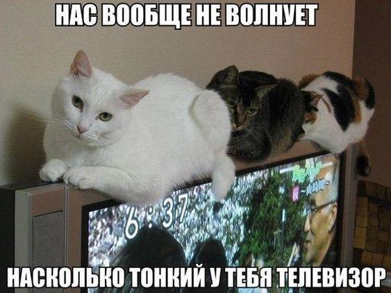 Свежие лучшие классные картинки 