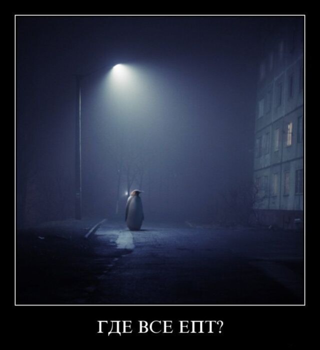 Свежая порция прикольных демотиваторов 