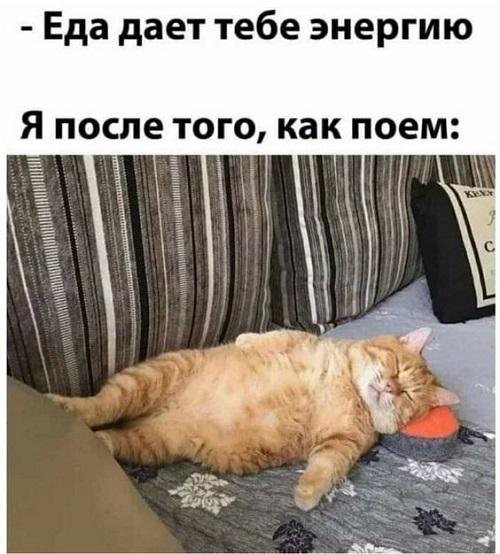 Свежие смешные до слез картинки Свежие смешные до слез картинки