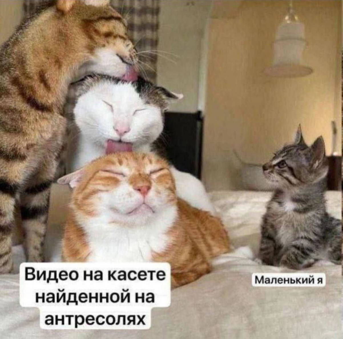 Черника улучшает зрение, орехи - память, а деньги улучшают все! 