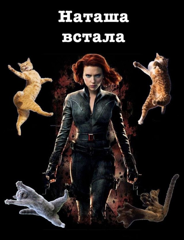 Ржачные картинки Ржачные картинки