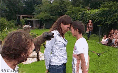 Сборник жизненных гифок про все в нашем мире 