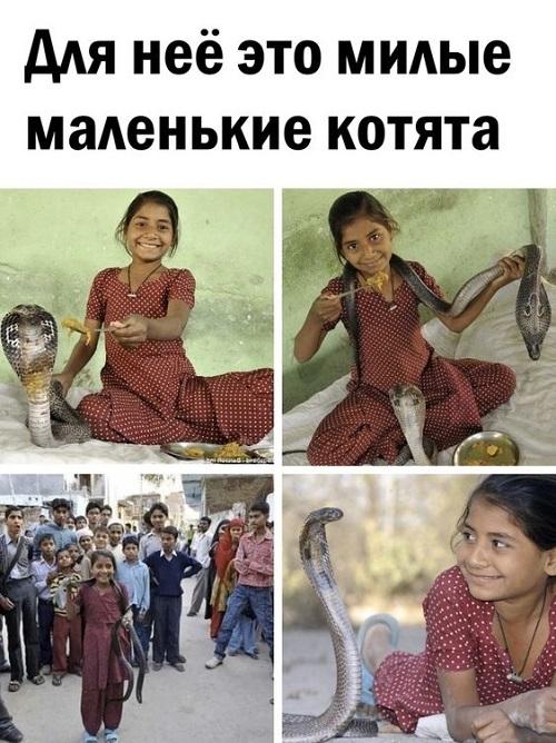 Ржачные свежие картинки с надписями 