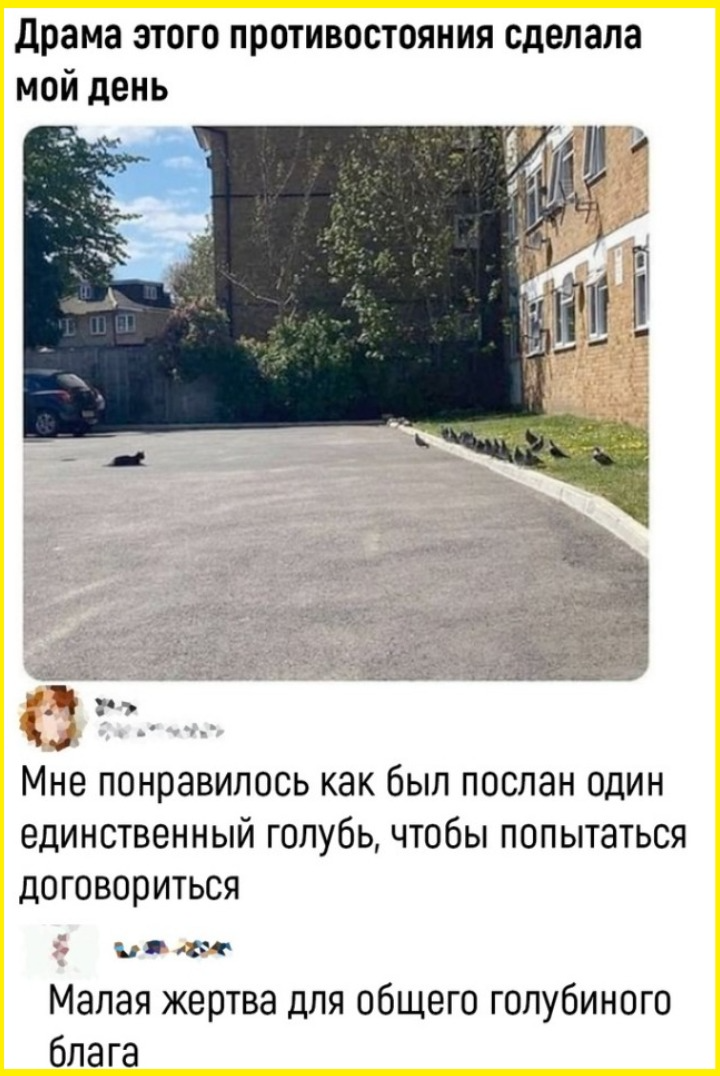 Мемы, смешные картинки, анекдоты и пицца 