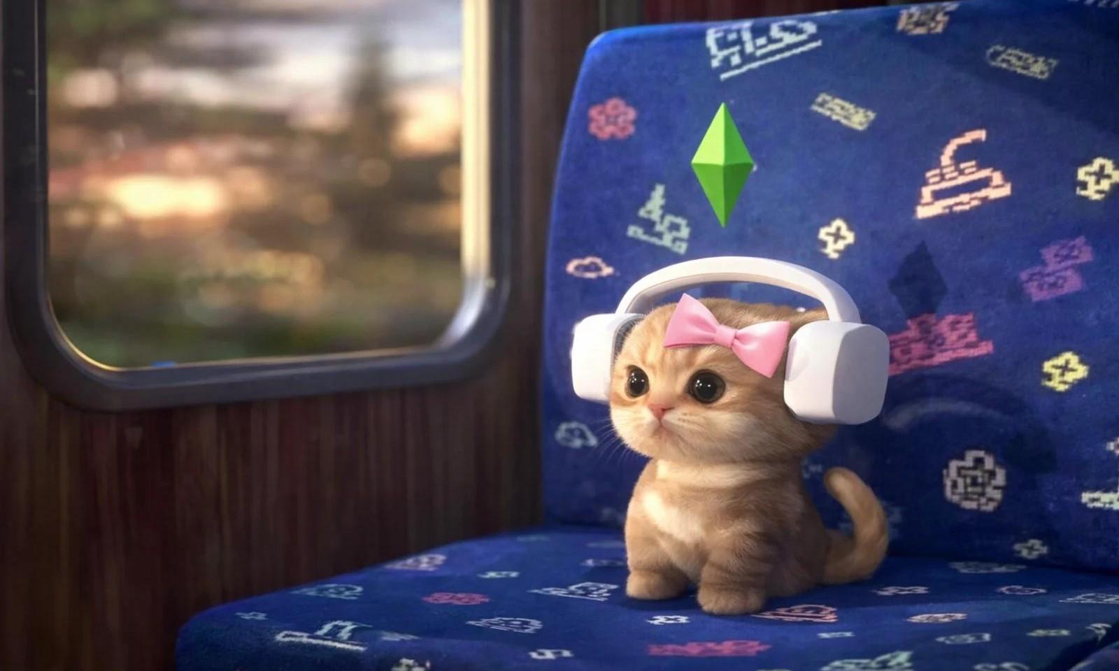 Котенок в наушниках в автобусе: что за мем, откуда появился и кто поет за кадром