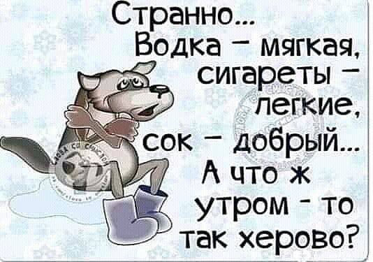 Чтобы понравиться девушке-аптекарю, скажи: «Мне пачку Виагры», а потом долго посмотрев ей прямо в глаза, скажи: «Уже не надо»! веселые картинки