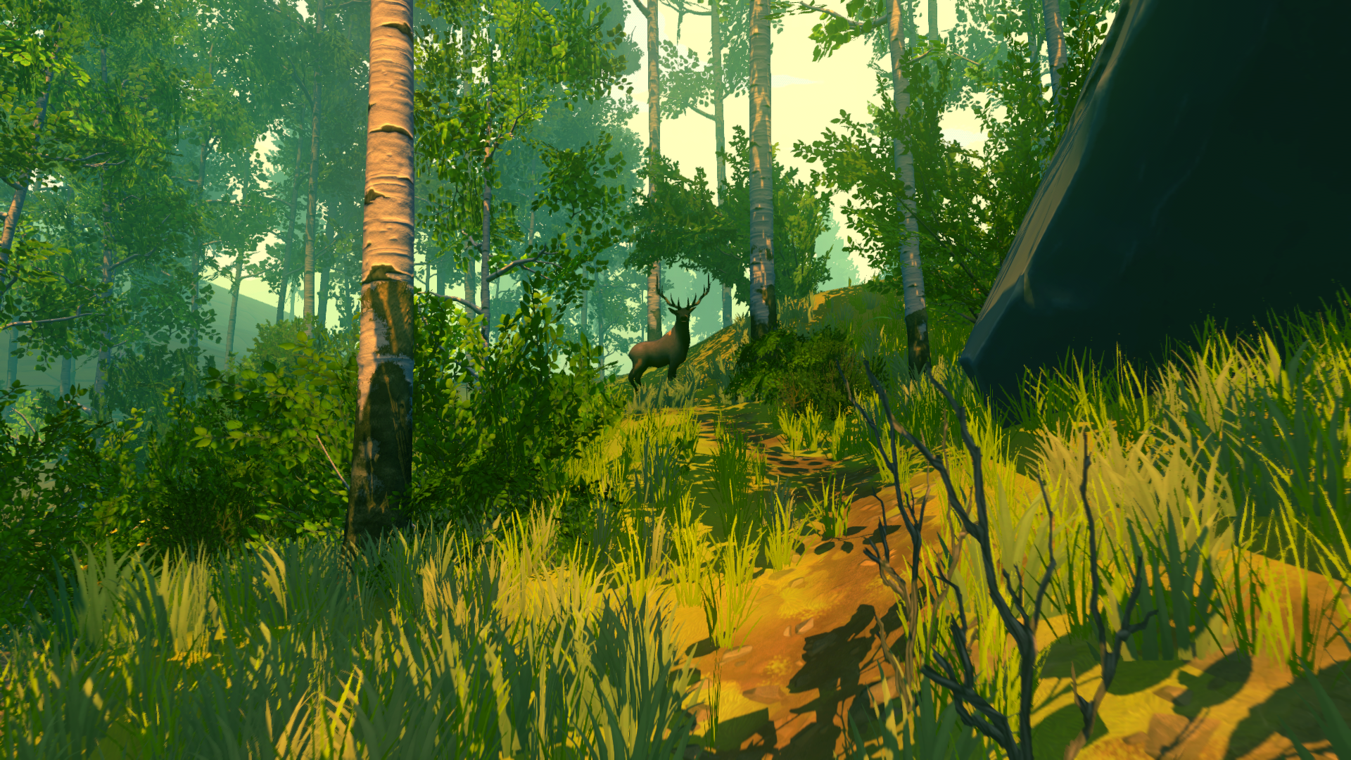 Les games. Firewatch. Зе Форест лес. Форест игра арт. Форест скрины.