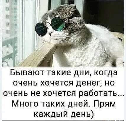 Юмор на злобу дня улучшает настроение 