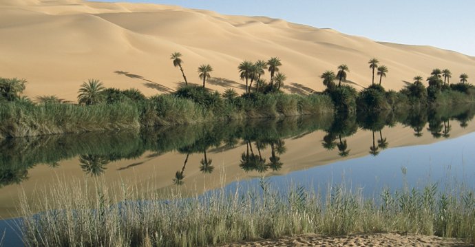 оазис в пустыне