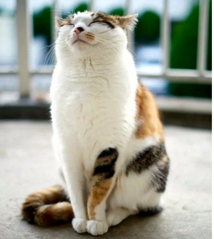 Последний закат