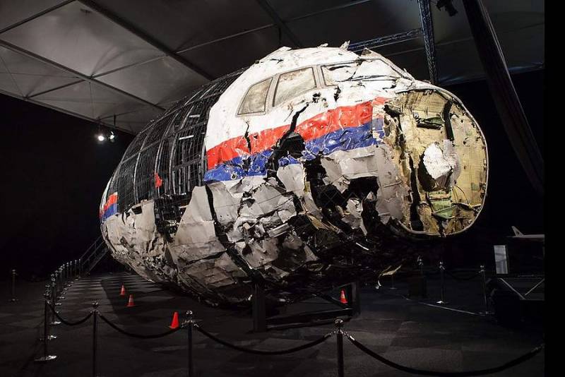 Личности «следователей» по делу MH17. Как рок-музыкант повлиял на отчёт геополитика