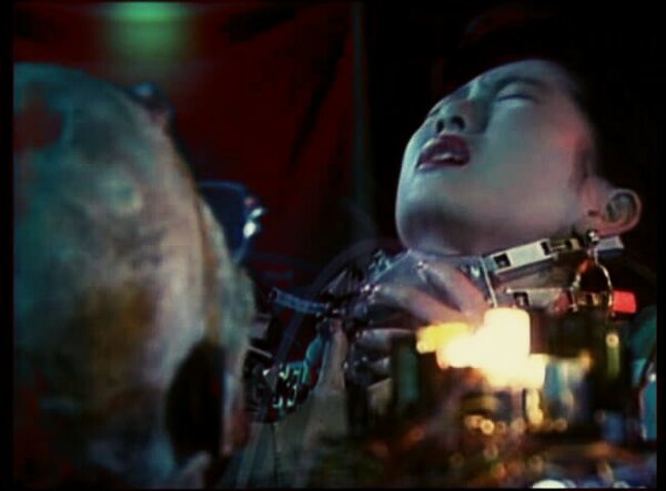 5 фильмов, которые сняли на грани фола 5 фильмов, которые сняли на грани фола