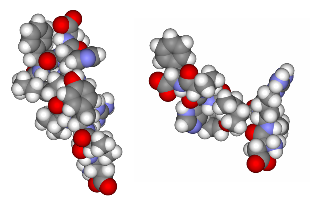 Ангиотензины I и II (образуются из ангиотензиногена действием ренина)