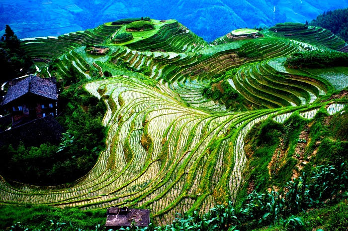  travelophilippines.com.