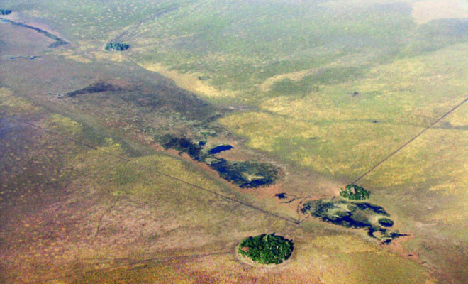«Плавающие острова» посреди Амазонии считались чудом природы, но анализ показал, что их построили 10000 лет назад