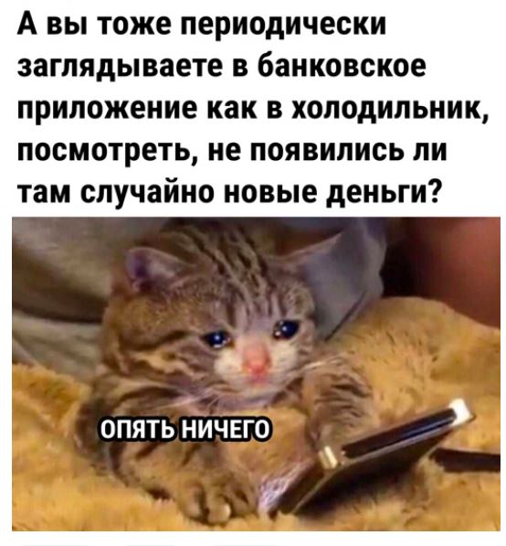 Юмористические картинки для настроения 