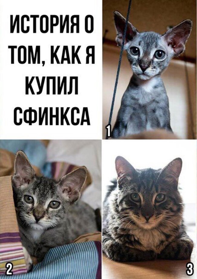 Подборка интересных и веселых картинок №25 Подборка интересных и веселых картинок №25 фото