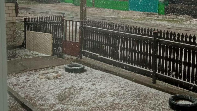 Жители Алтайского края публикуют в соцсети фото снега на Первомай