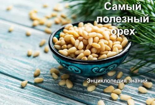 Самый полезный орех назван.