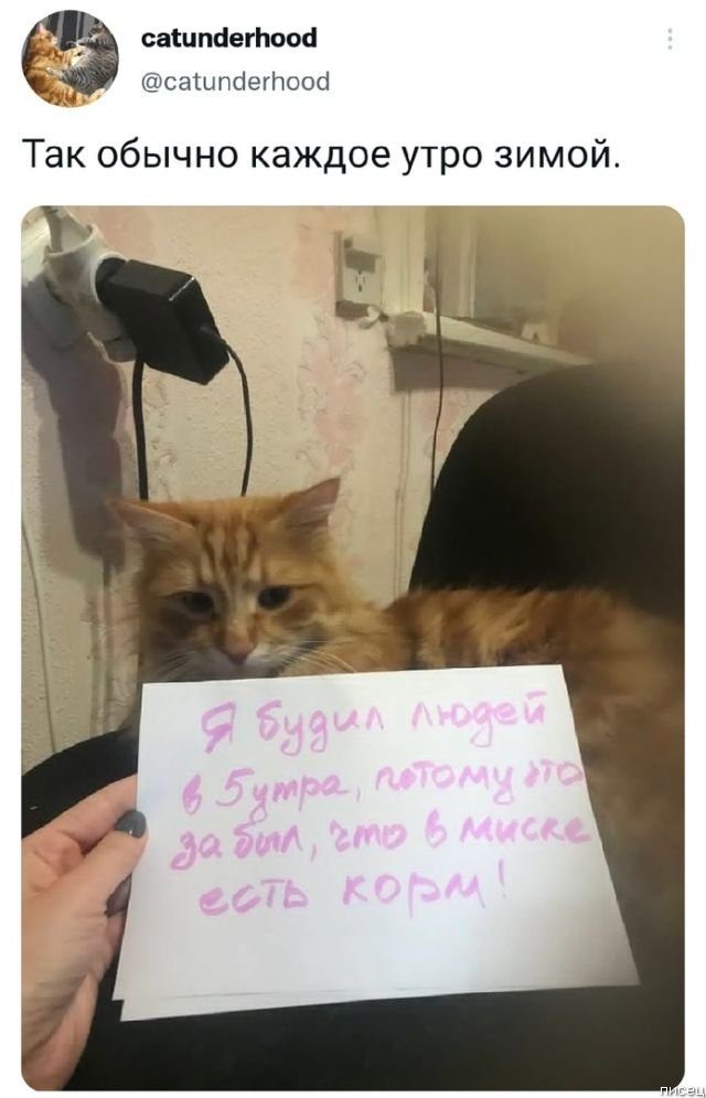 100% приколы из социальных сетей. Великолепно 100% приколы из социальных сетей. Великолепно позитив,смешные картинки,юмор