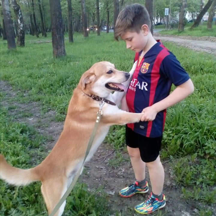«Мы подошли к псу, у которого не было лапки… И уже не смогли уйти» «Мы подошли к псу, у которого не было лапки… И уже не смогли уйти»
