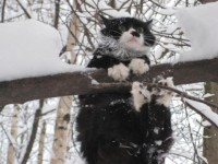 Фото пользователя Дмитрий TTT-51