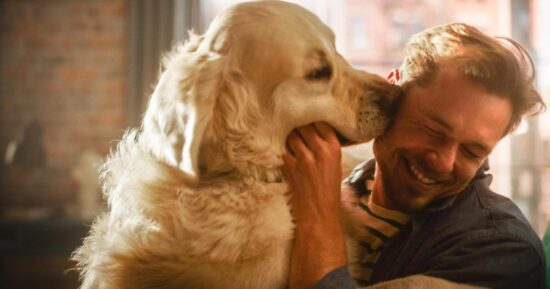 5 пород собак, которые лучше всего подойдут для собаковода-новичка