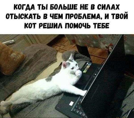 Прикольные картинки с надписями Прикольные картинки с надписями