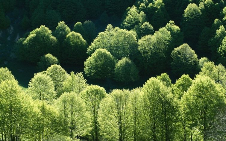 Итальянские пейзажи, которые захватывают дух