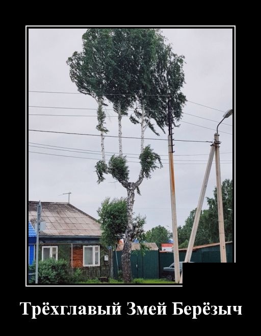 Демотиваторы Демотиваторы демотиваторы