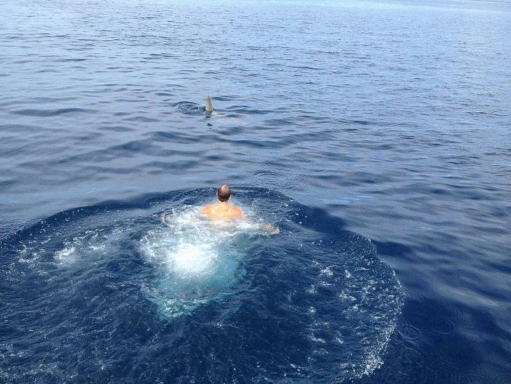 Очередная фото подборка фейлов и всевозможных жизненных неудач 