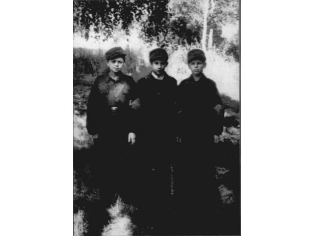 Украинские помощники люфтваффе и ПВО Украинские помощники люфтваффе и ПВО история