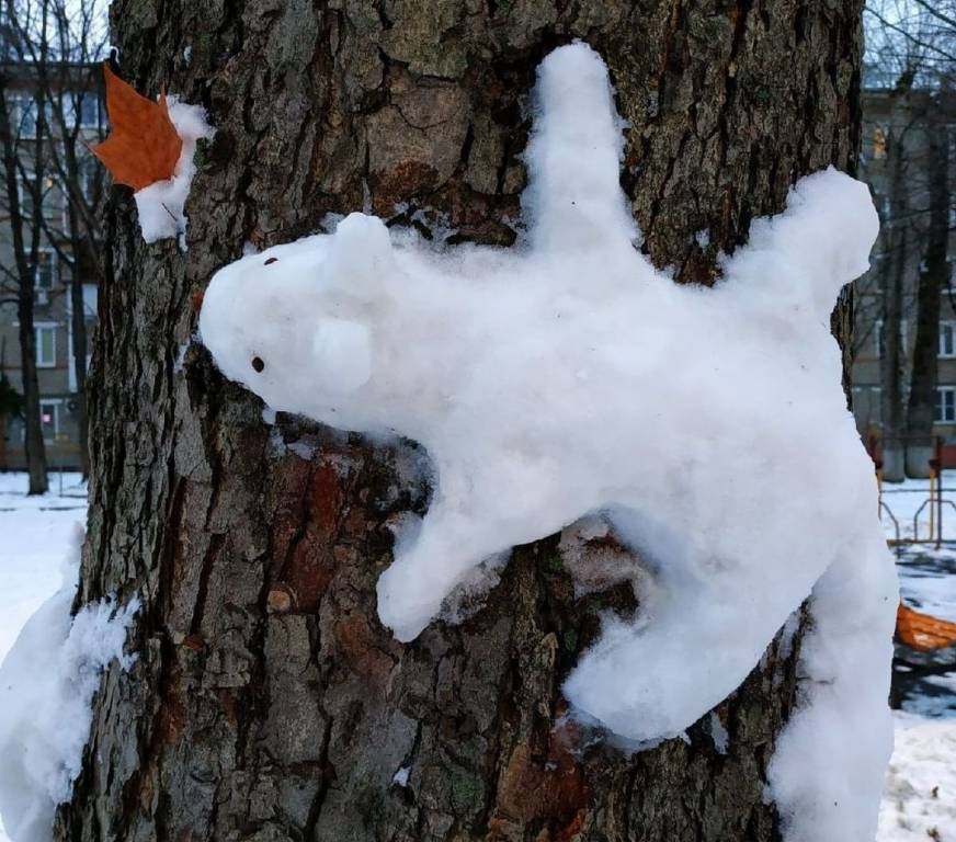 Фото Елена Назарик.jpg