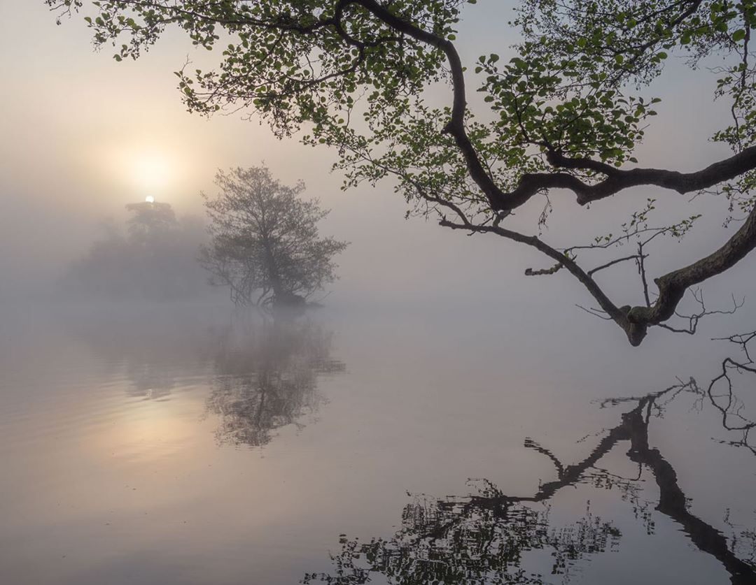 Красивая природа на снимках Кэт Готард Красивая природа на снимках Кэт Готард природа