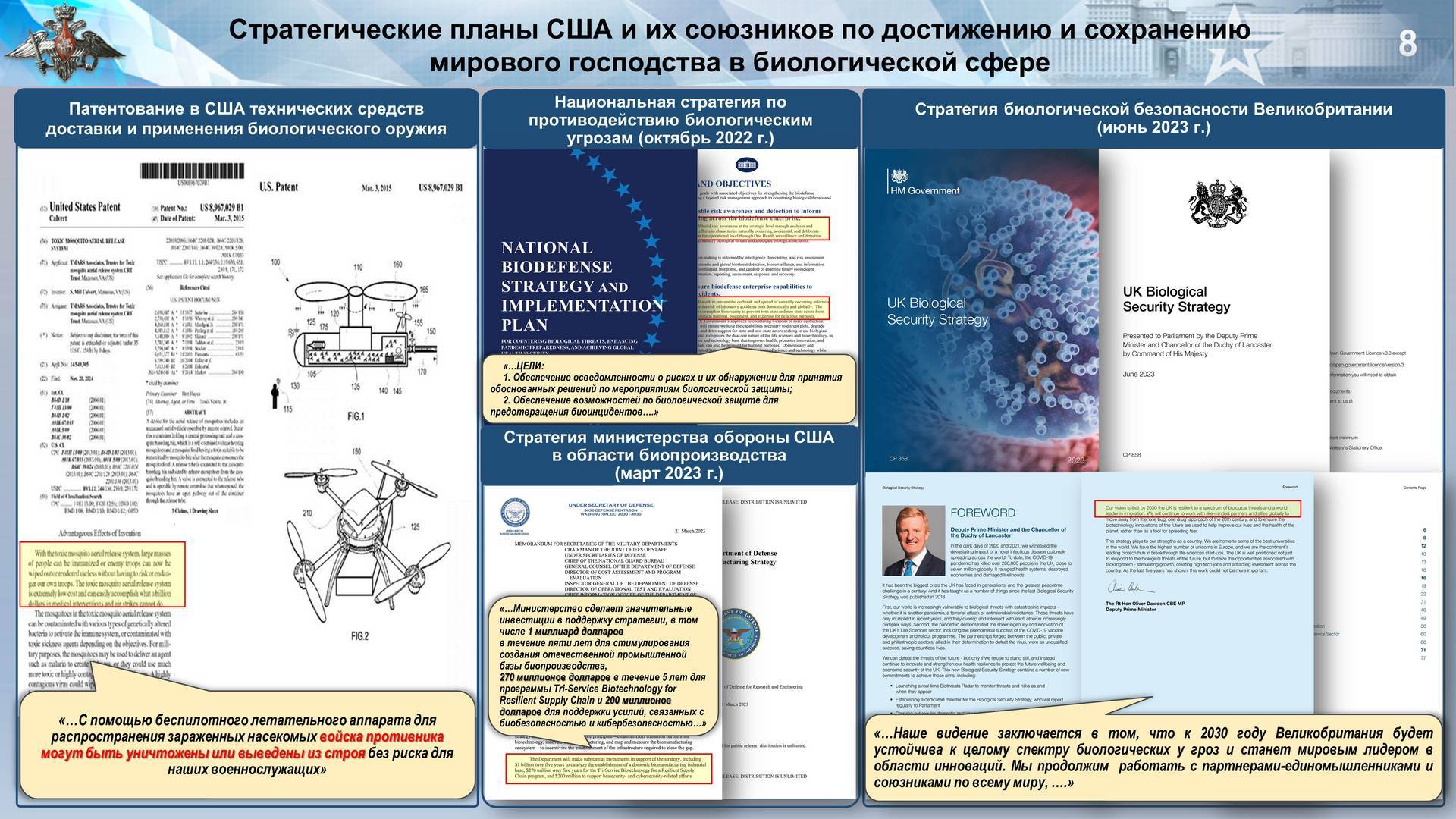 Проект создания федерации