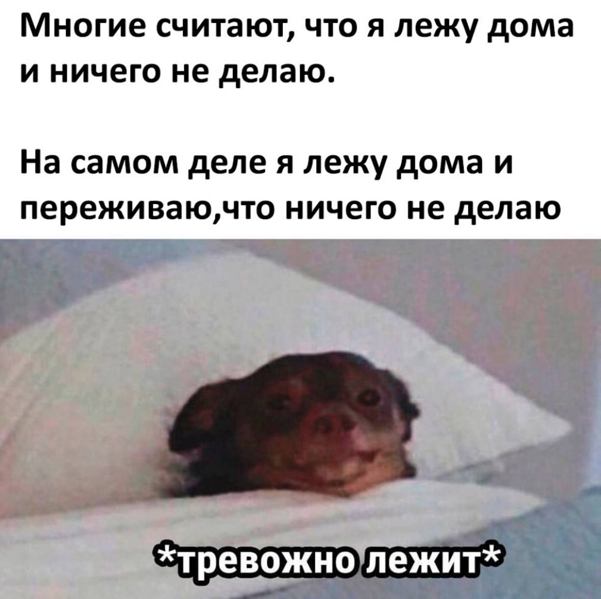 Мемы с котиками, разные смешные картинки и позвоночник 