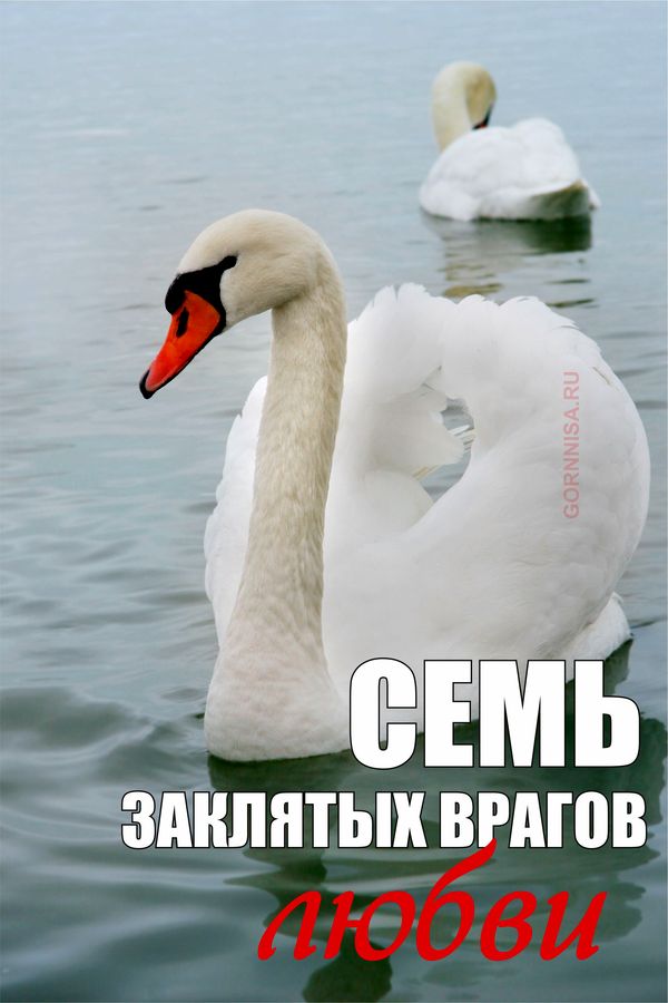 Братислав либертус. Мой любимый враг. Враг любви песня. Любовь к врагам. Любовь к врагам.