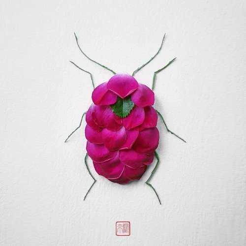 Насекомые, созданные из цветов от художника Раку Иноуэ цветы, Иноуэ, своей, современных, насекомых В, время, подобное, можно, запросто, сделать, помощью, цифровых, бабочек, технологий, предпочёл, сдвинуть, границы, используя, настоящие, растенияПредлагаем