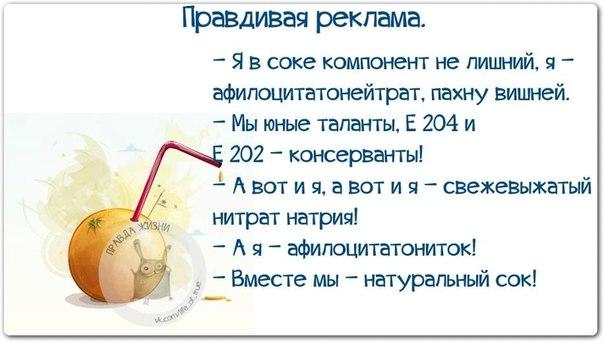 Веселые картинки с фразочками Веселые картинки с фразочками