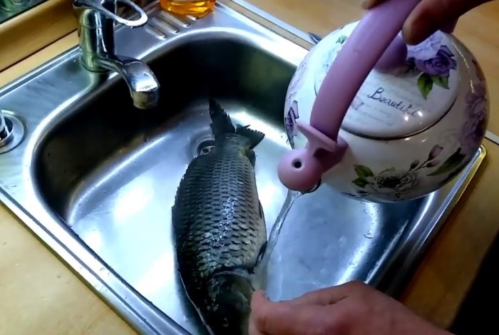 4 варианта, как быстро почистить рыбу, чтобы чешуя не летела во все стороны готовим дома,полезные советы