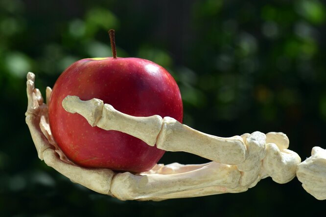Почему зубы не считаются костью костей, человеческого, кости, зубов, которая, и кости, Кости, костный, кальций, между, ткани, которые, содержат, и костей, минералов, часть, Таким, могут, образом, ткань